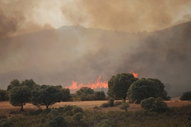 El fuego de Cabañeros (Ciudad Real) ha afectado a unas 600 hectáreas de terreno forestal de gran riqueza