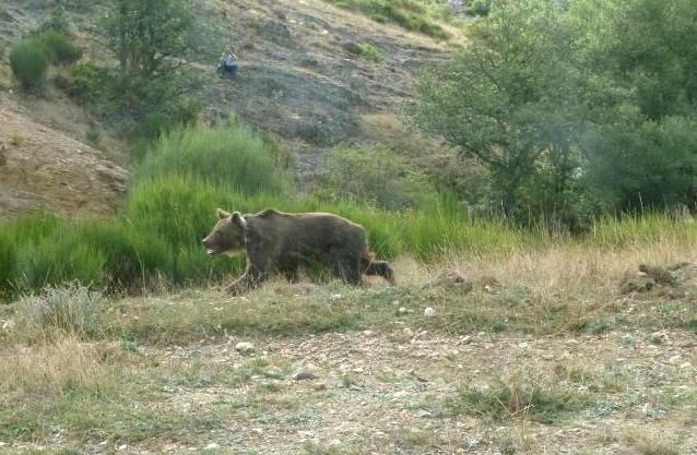 El Fiscal de Medio Ambiente de Palencia