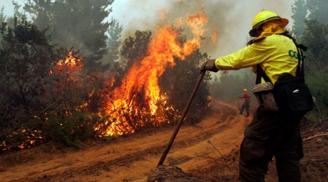 Chile bajo el ‘caos’ de los fuegos forestales