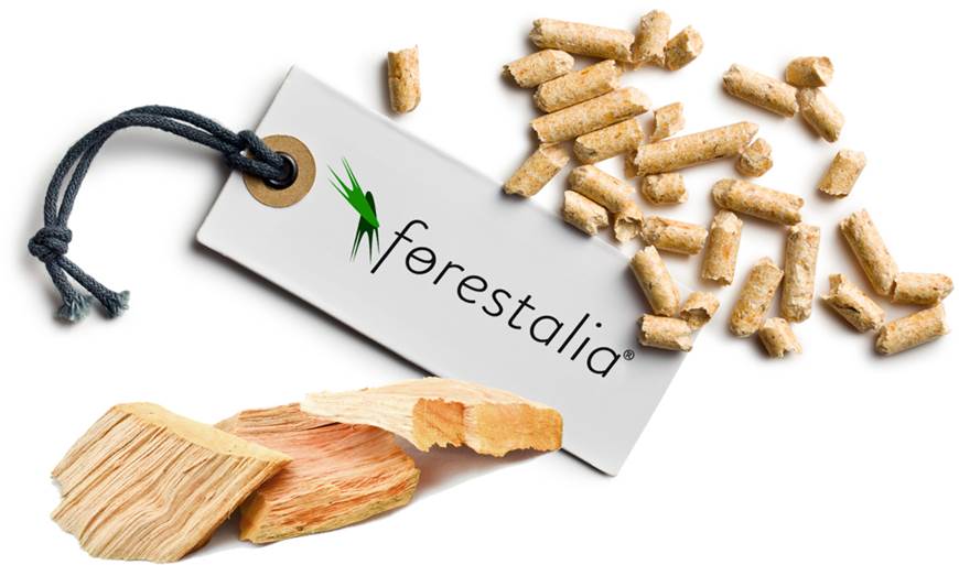 Forestalia Renovables podrá poner en marcha la planta de biomasa de Monzón