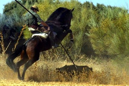Castilla La Mancha legaliza la caza con lanzas