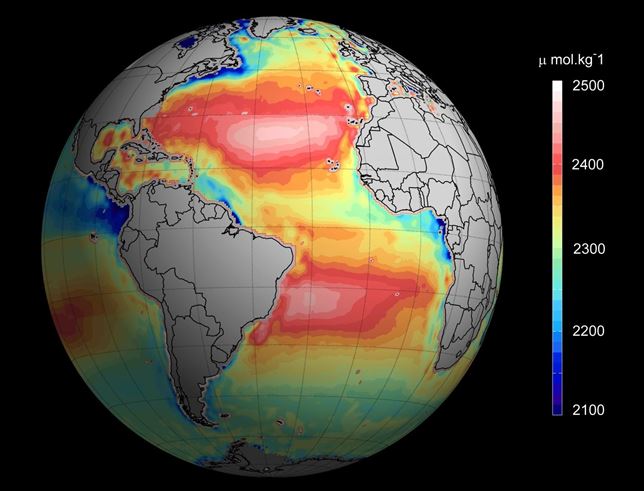 La acidificación creciente del océano