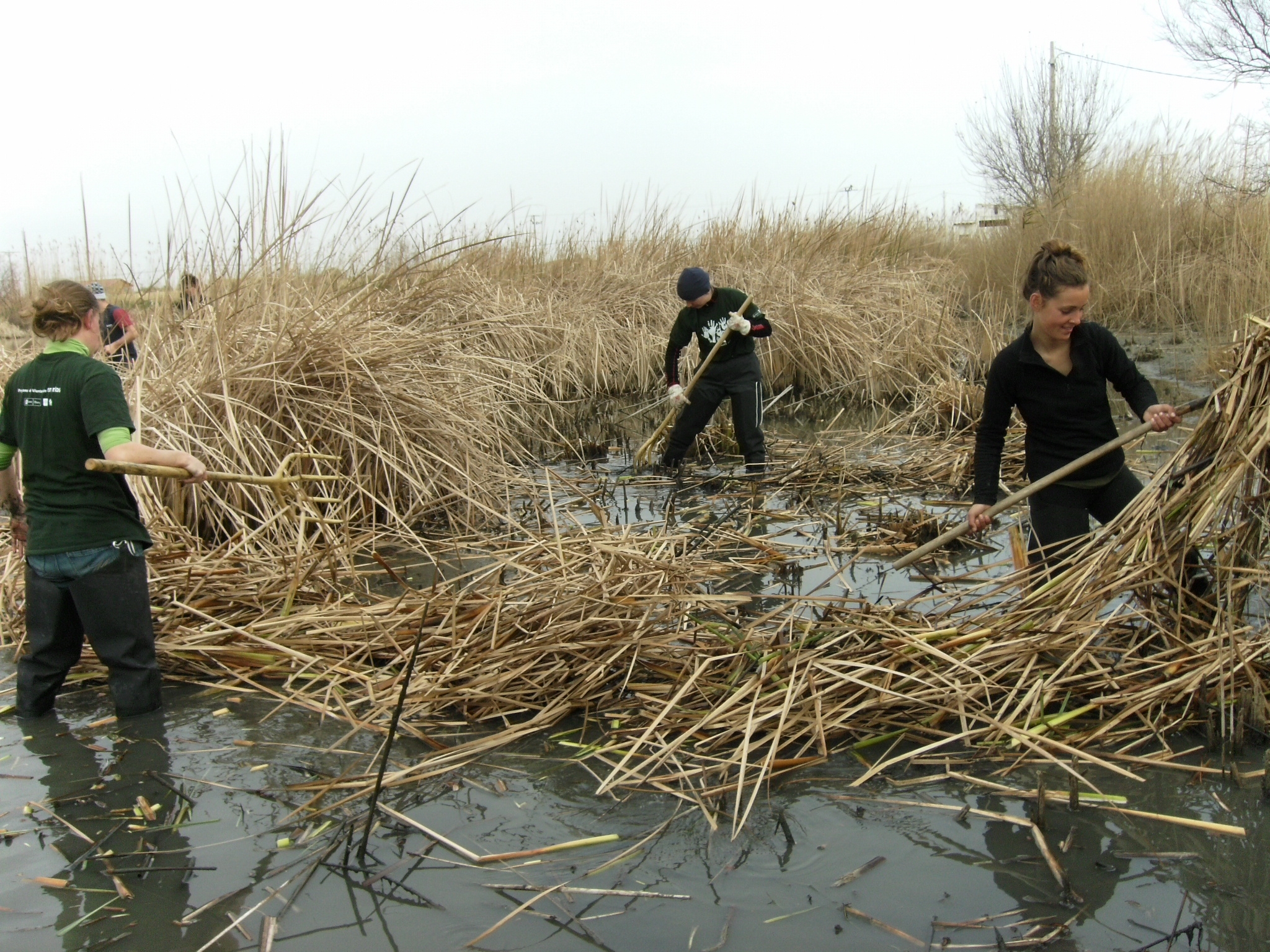 El MARM recibe más de 130 solicitudes de participación en el Programa de Voluntariado en Ríos 2011
