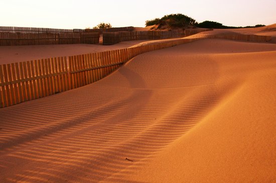 Reclaman una Evaluación de Impacto Ambiental completa antes de regenerar playas de Ceuta con arena de Caños de Meca