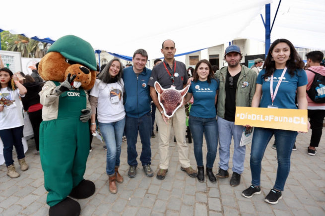 Ministro Mena resalta iniciativas de conservación de especies silvestres en el Día de la Fauna Chilena
