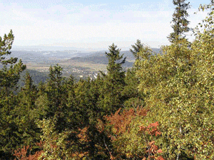 ‘Planificación y Conservación de Espacios Naturales’