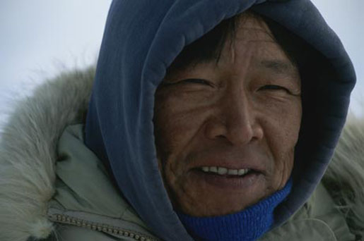 Las corrientes oceánicas impulsan los contaminantes orgánicos hacia el Ártico