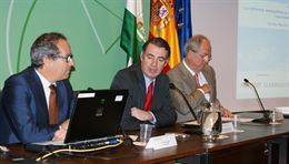 Andalucía afirma que el 20% de los ‘recortes’ a las primas de renovables les afecta directamente