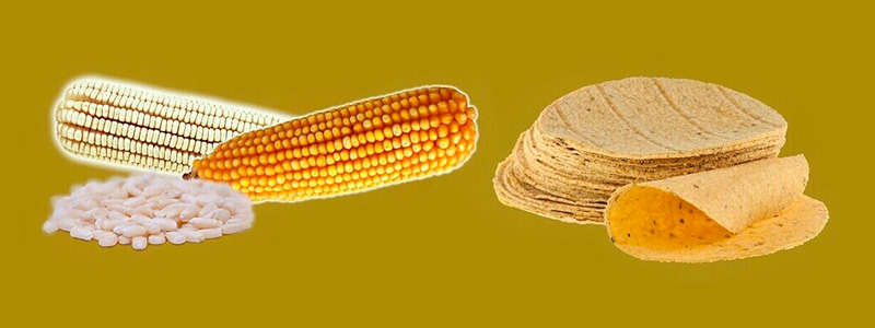 Desarrollan tratamiento biológico para el nejayote