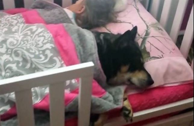 ‘Extraños amigos de cama’. Vea el VIDEO