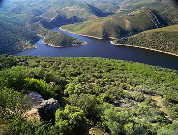 Plataformas en Defensa del Tajo ‘en pie de guerra’