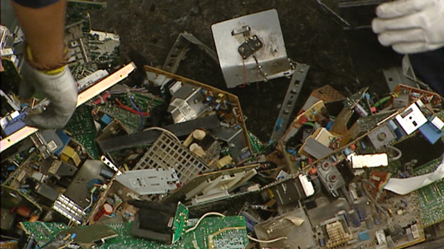 La Fiscalía de Medio Ambiente ‘desbordada’