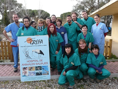 Voluntarios y GREFA