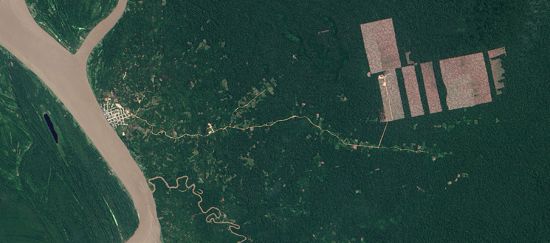 Perú: Amazonía en Peligro