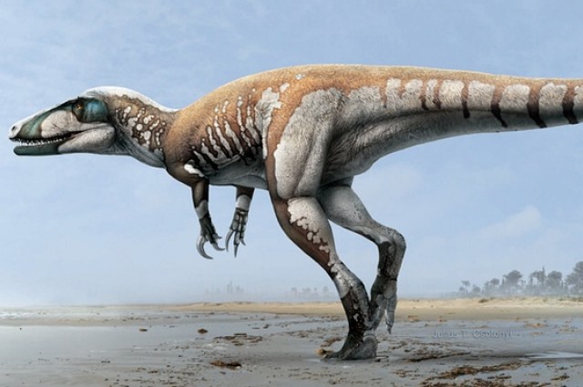 Scientists Discover A 7-Meter-Long Dinosaur