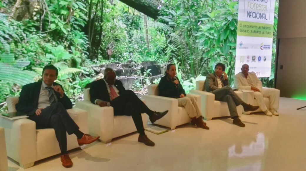 Estrategia para realizar inventario forestal del país