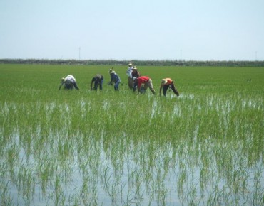 Arranca el plan de regadíos de la Corona Norte de Doñana