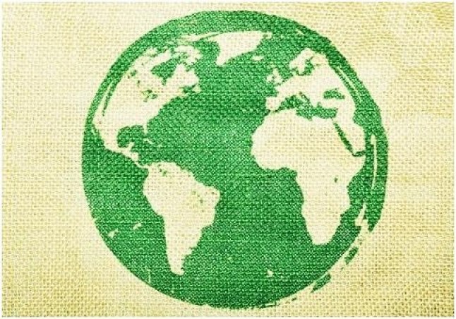 Elimina las bolsas de plástico de tu vida