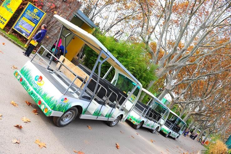 El zoo de Barcelona parece una ‘discoteca’ (Ver VIDEO)