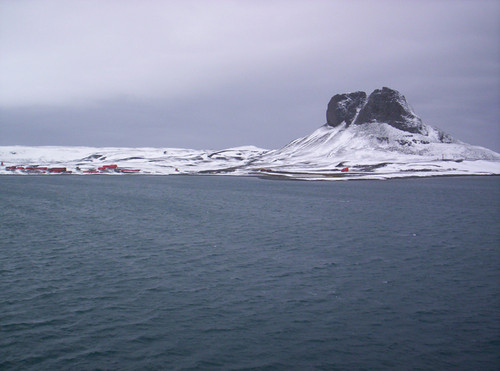 Una bacteria de la Antártida desactiva metales contaminantes