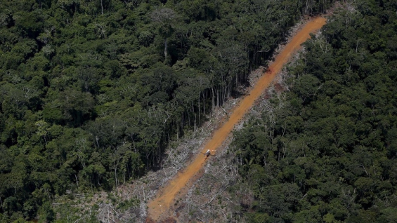 Brasil: Temer concede a la minería una enorme región en el corazón del Amazonas