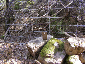 Vallado cinegético ilegal en el Parque Nacional  de Cabañeros