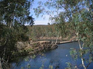 Ecologistas se personará en la causa del episodio de contaminación del Agrio en Aznalcóllar