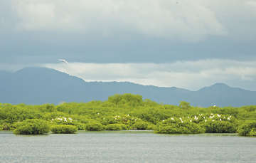 México. Reserva de la Biósfera Marismas Nacionales