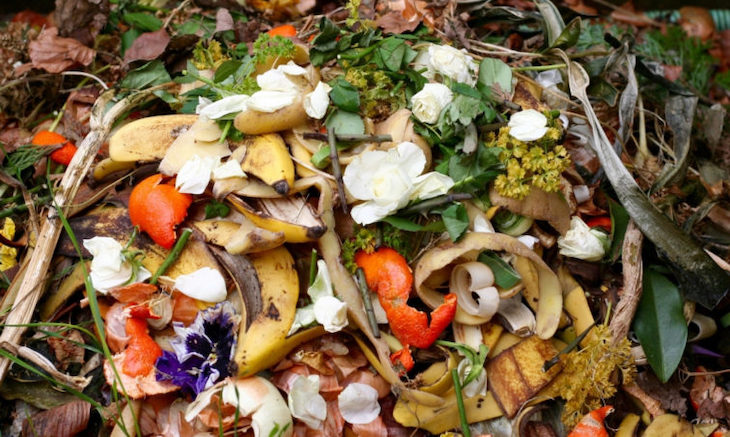 No más ‘cultura’ del desperdicio alimentario