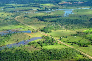Brasil debe ir ‘más allá de la aplicación de la ley’ para proteger la Amazonía
