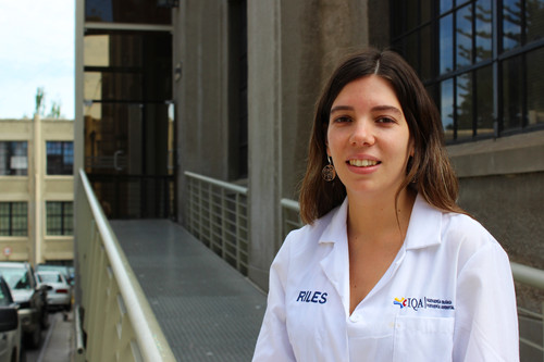 Investigadores chilenos buscan remover el nitrógeno amoniacal de los efluentes de la industria porcina