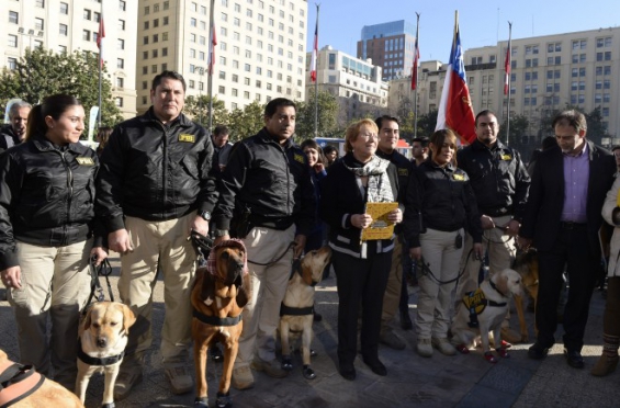Chile: Promulgaron la Ley de Tenencia Responsable de Mascotas