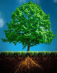 I Conferencia Internacional sobre protección del suelo en Bilbao