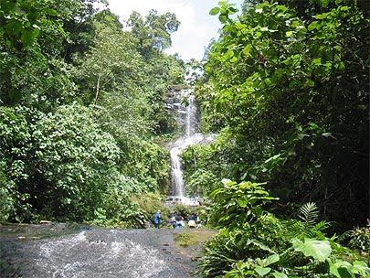Extremadura. Medio Ambiente desarrollará sostenible en espacios y zonas de reproducción protegidos