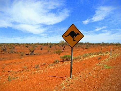 Australia ‘agoniza’ por el calentamiento global