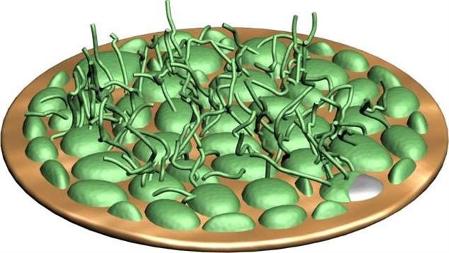 Baterías de litio de última generación más duraderas y ligeras sin riesgo de incendio