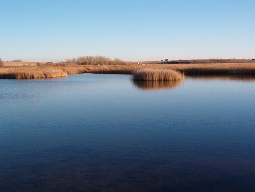 Castilla-La Mancha abandona a su suerte las Tablas de Daimiel