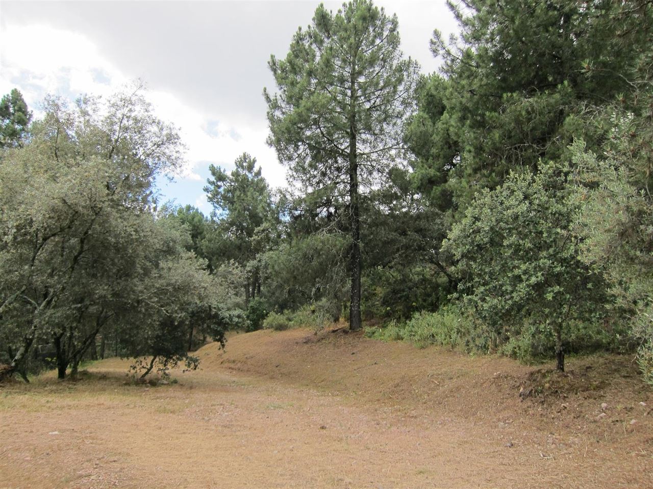 Furtivos actúan en Los Villares (Córdoba)