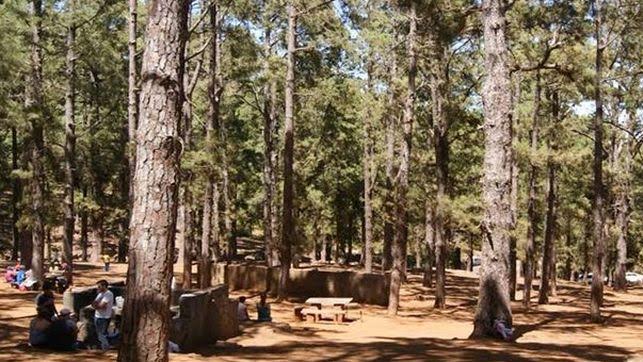 El Cabildo de Tenerife levanta la prohibición de hacer fuego en los montes de la isla