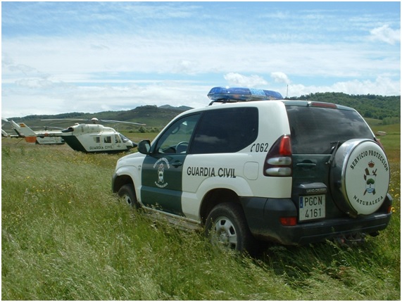 Investigan un vecino de Palma por un delito de maltrato animal