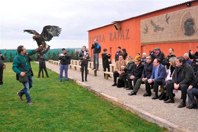 Conoce la vida carcelaria de las rapaces de un centro en Calahorra (La Rioja)