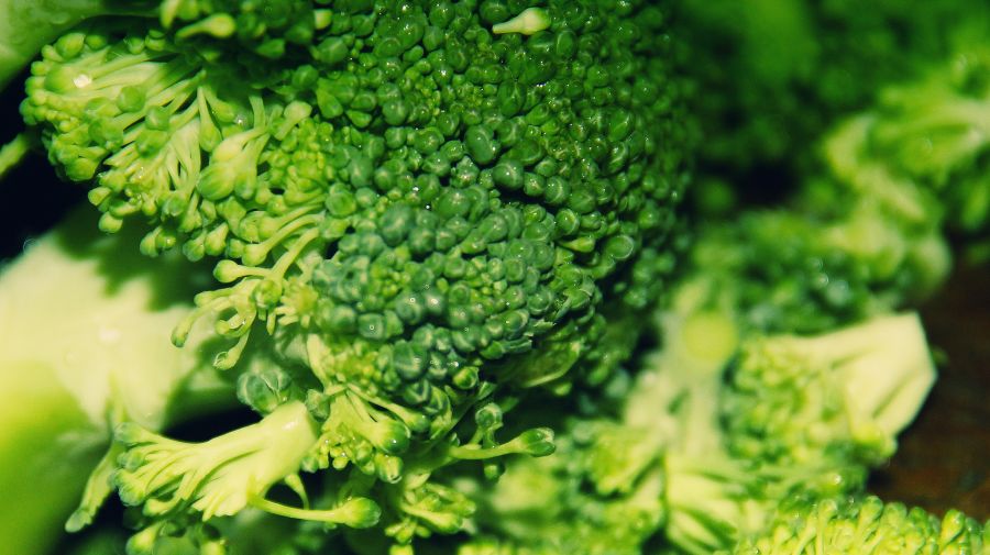 En Colombia determinan la relación entre nutrición y cambio climático