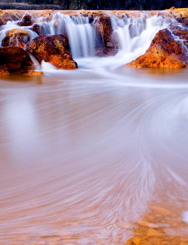 La Fundación Biodiversidad y el CSIC inauguran en Sevilla dos exposiciones sobre el Río Tinto y las aves de la Catedral y la Alhambra