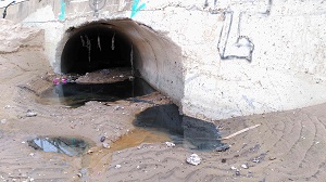 La playa de Sanlúcar hecha un ‘cromo’