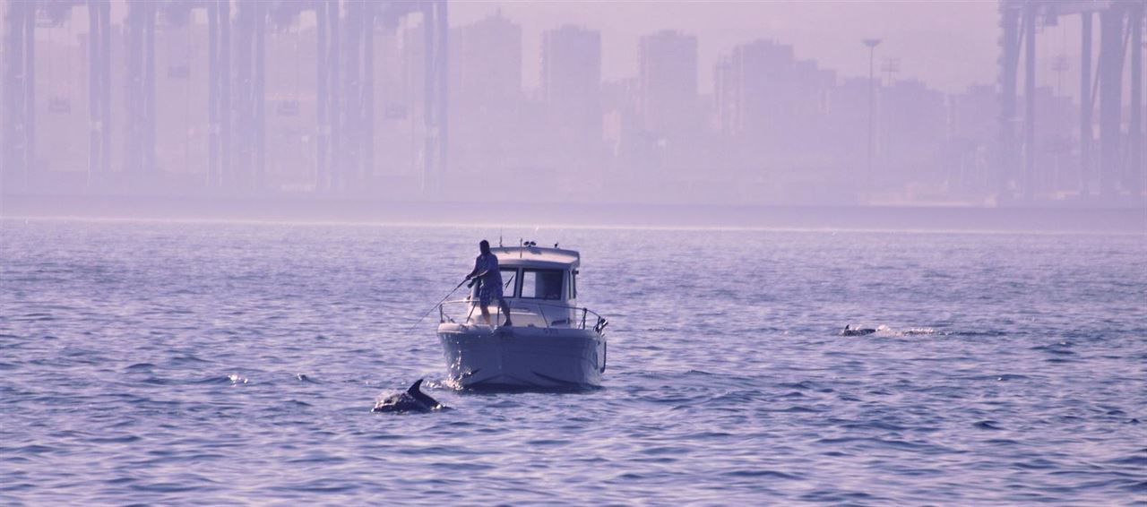 Pesca ilegal de atún rojo en la Bahía de Algeciras