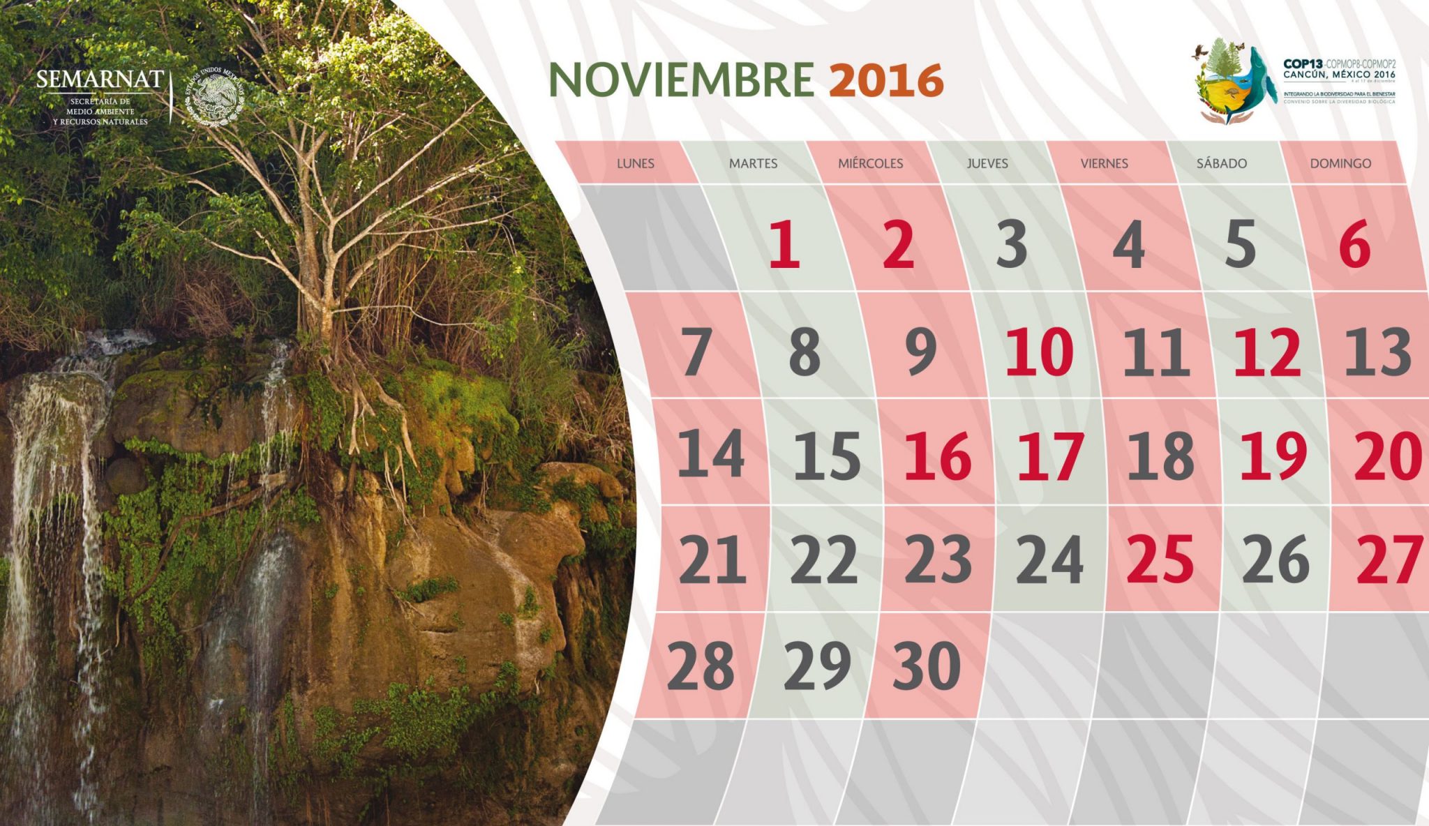 Todo sobre el medio ambiente en México este mes de Noviembre