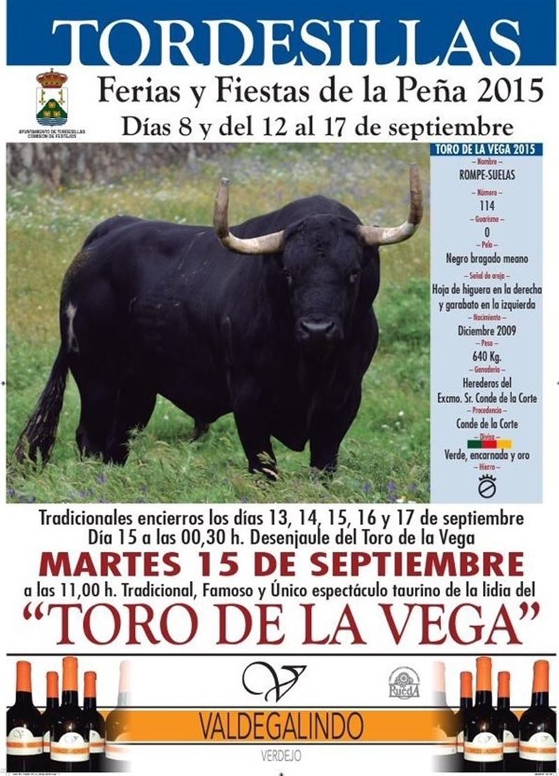 El morlaco Rompe-suelas protagoniza hoy en Tordesillas (Valladolid) el Toro de la Vega