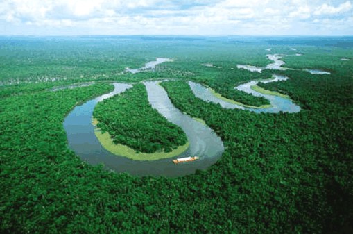 Brasil pondrá en marcha un minucioso inventario de su rica selva amazónica