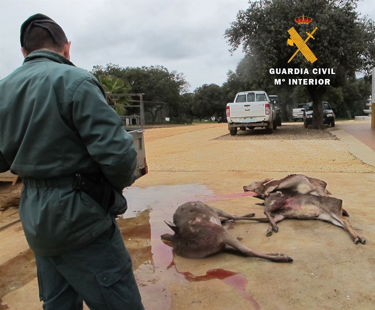 Controlan en Córdoba a los que ‘matan animales para divertirse’