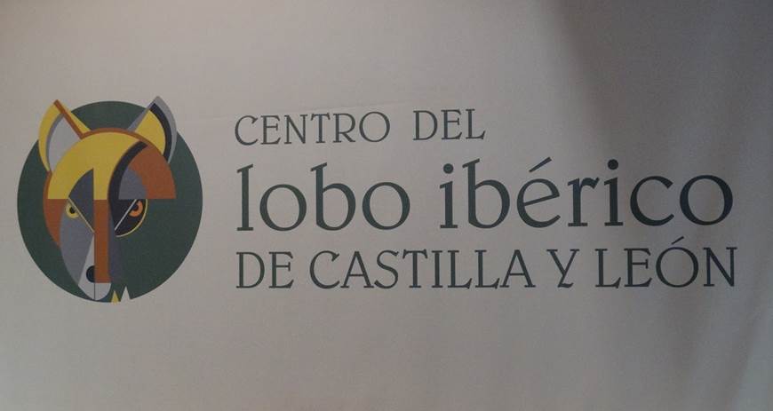El Centro del Lobo Ibérico de Castilla y León alumbra tres cachorros